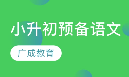 小升初预备语文