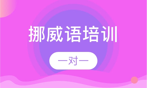 挪威语培训
