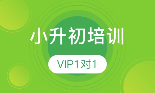 vip1对1小升初考前集训冲刺