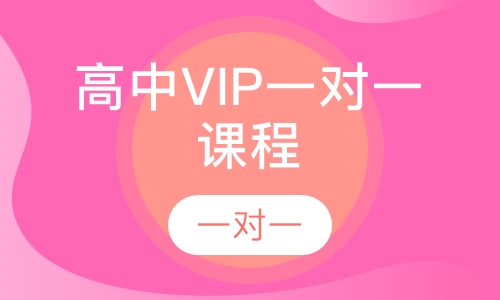 高中VIP一对一课程