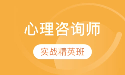 二级心理咨询师实战精英班