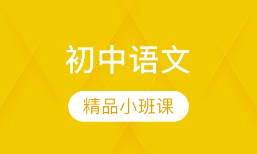 初中语文精品小班课