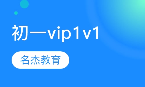 初一vip1v1
