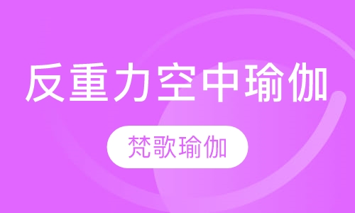 反重力空中瑜伽培训