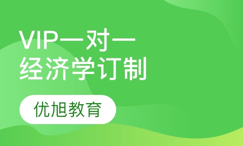 VIP一对一AP Economics经济学订制