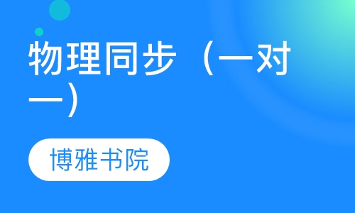 物理同步辅导（一对一）