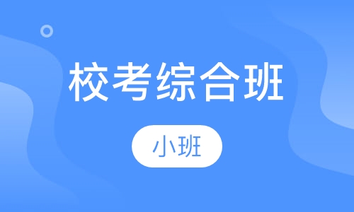 校考综合班