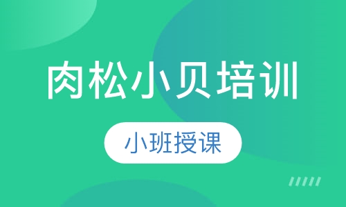 肉松小贝培训