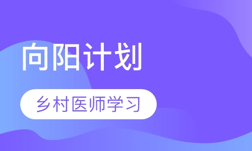 乡村全科执业助理医师