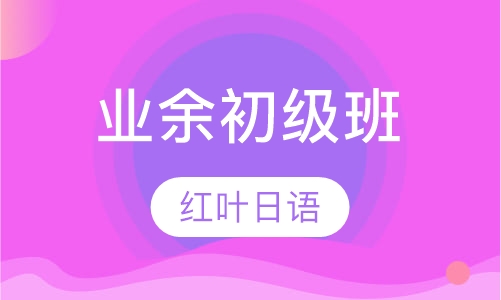 二五晚班-业余初级班（初级 即0-N4）