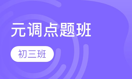 初三元调点题班