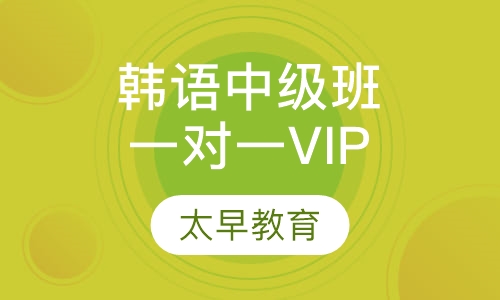 韩语中级一对一VIP班