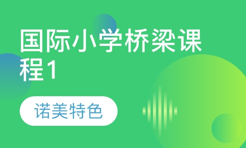 国际小学桥梁课程1