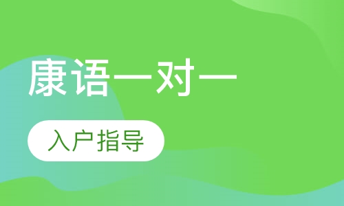 康语一对一入户指导