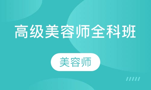 高级师全科班