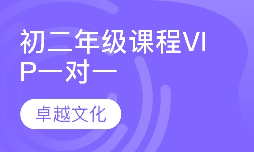 卓越文化初二年级课程VIP一对一