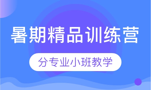 暑期精品训练营