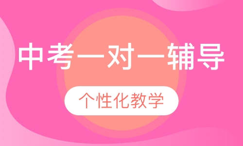 中考一对一辅导