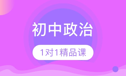 初中政治1对1VIP精品课程