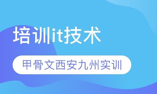 培训it技术需要多少钱,甲骨文详细描述