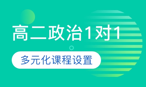 高二政治1对1辅导