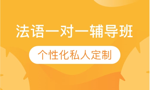 直播课法语一对一辅导班