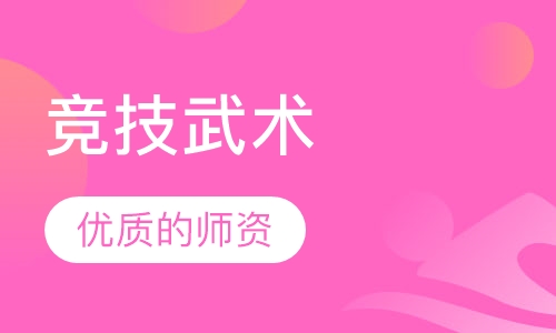 竞技武术