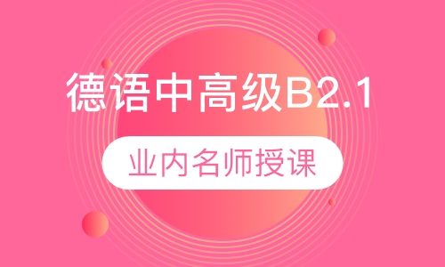 德语中高级B2.1