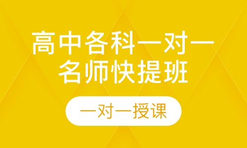 高中各科一对一名师快提班