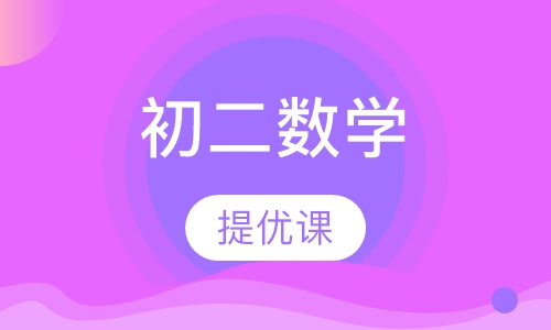 初二数学提优课(6人小班)