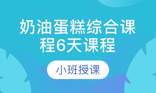 奶油蛋糕综合课程6天课程