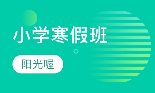 小学寒假班