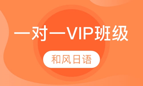 一对一VIP班级