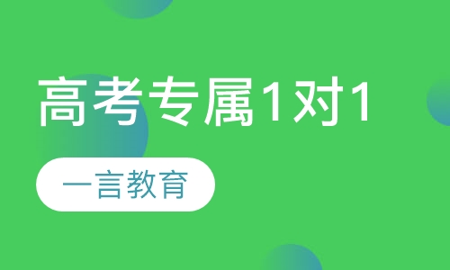 高考辅导专属1对1