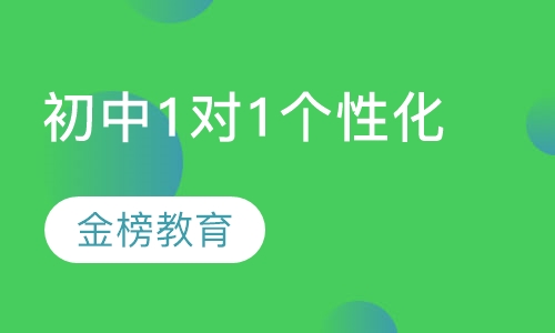 初中1对1个性化辅导