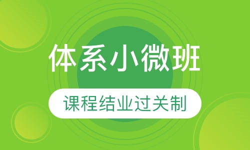 体系小微班