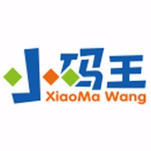 深圳小码王少儿编程