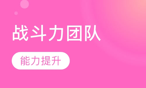 战斗力团队