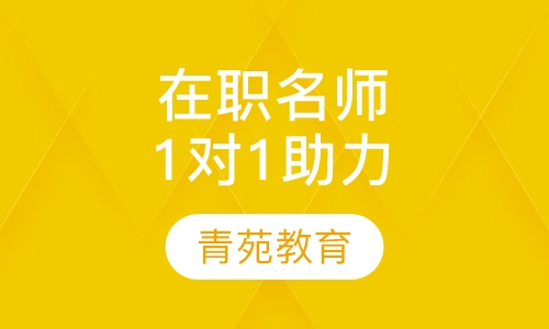 在职名师1对1助力