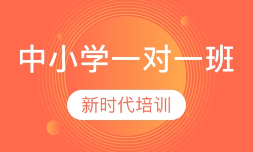 中小学中小学一对一辅导班