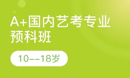 A+国内艺考专业预科班