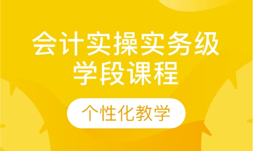 会计实操实务级学段课程