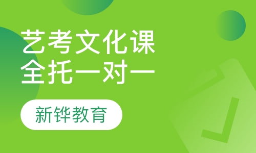艺考生文化课全托一对一辅导