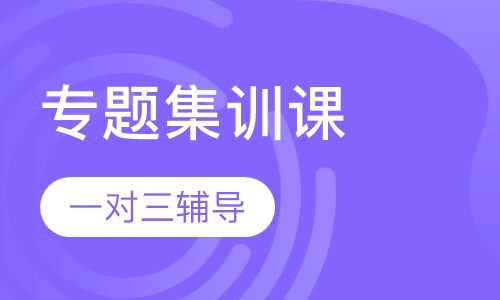 99元12课时专项集训课