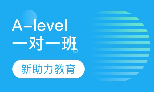 A-level一对一班