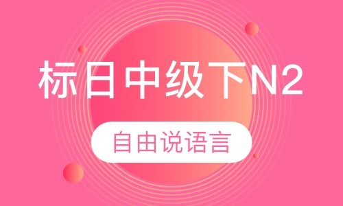 标日中级下N2