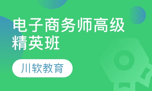 高级电子商务师精英班