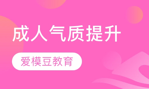 成人气质提升