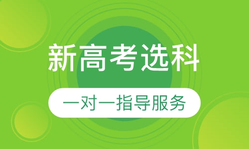 新高考选科一对一指导服务
