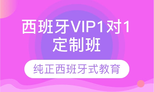 西班牙VIP1对1定制班